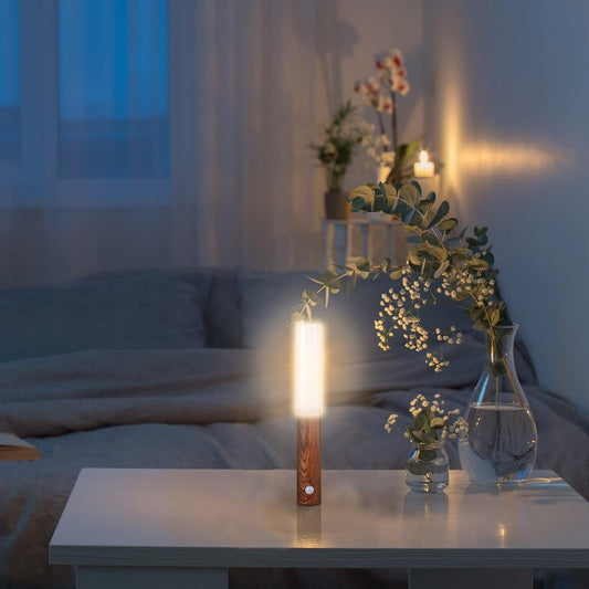 Led Induction Motion detect Sensor Scone Light Rechargeable